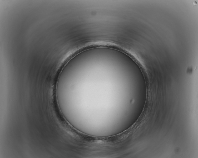 X0000091470111200708161136