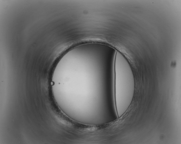 X0000091470112200708161136