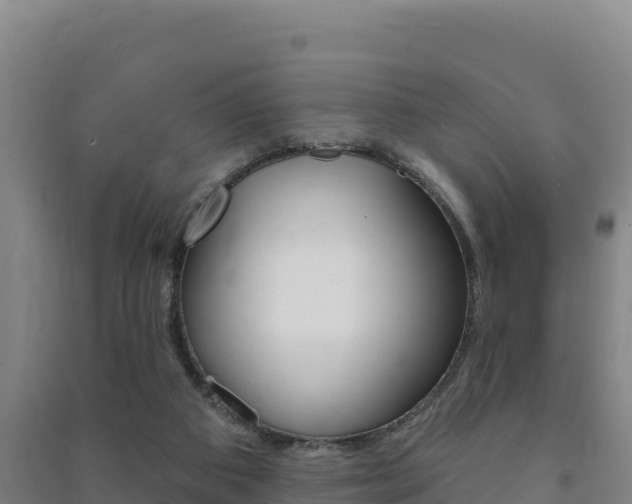 X0000091470113200708161136