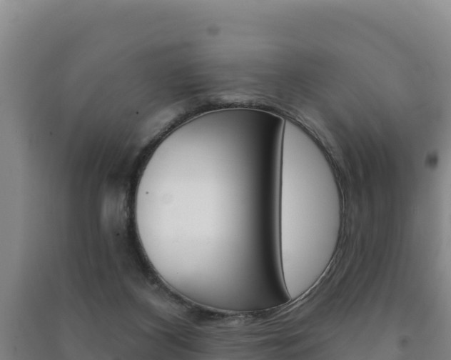 X0000091470116200708161136