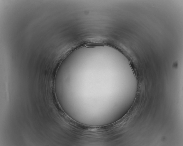 X0000091470117200708161136