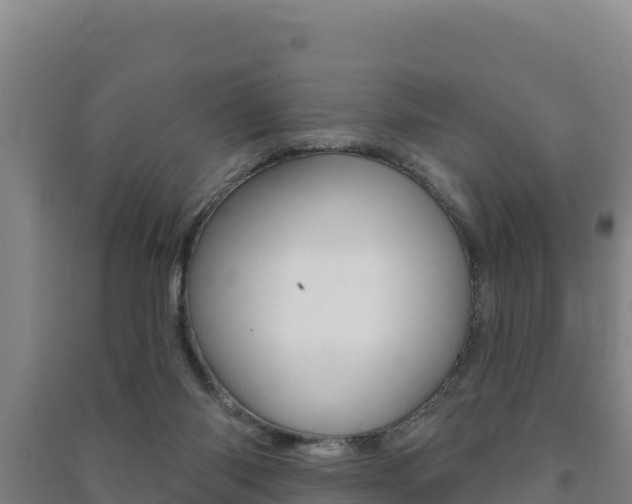 X0000091470118200708161136