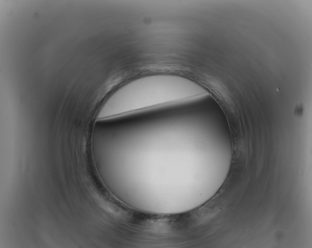X0000091470120200708161136