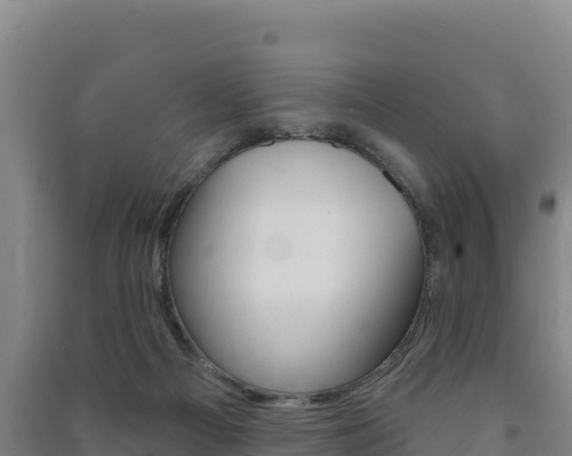 X0000091470121200708161136