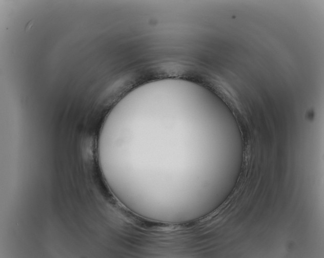 X0000091470122200708161136