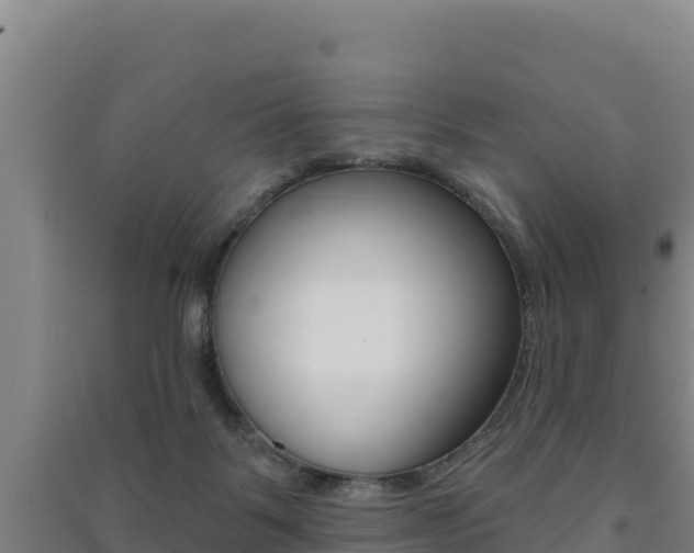 X0000091470123200708161136