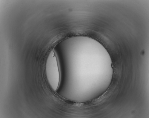 X0000091470124200708161136
