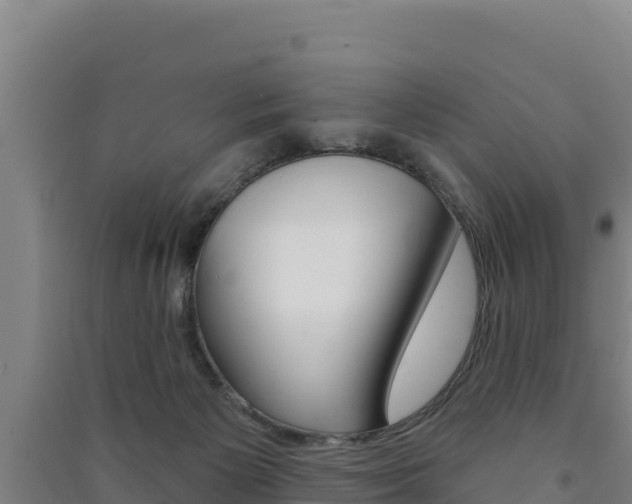 X0000091470125200708161136