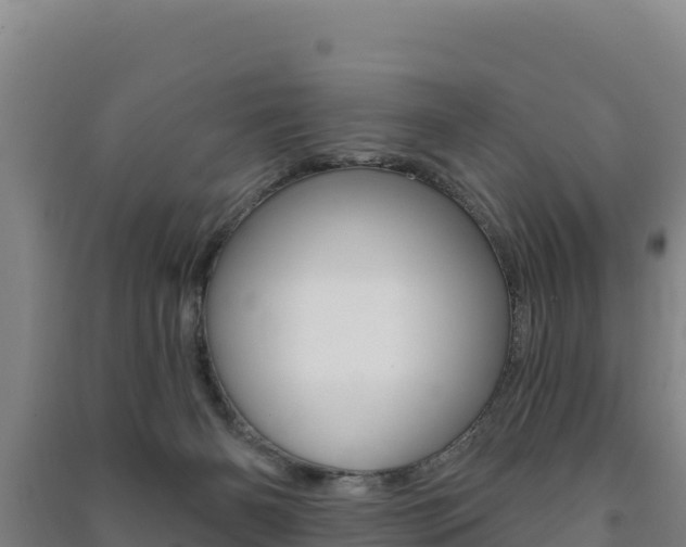 X0000091470126200708161136