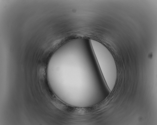 X0000091470127200708161136