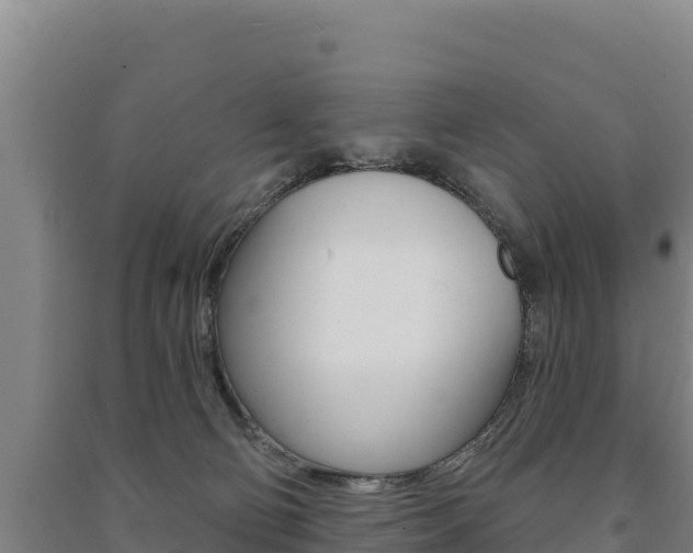 X0000091470130200708161136