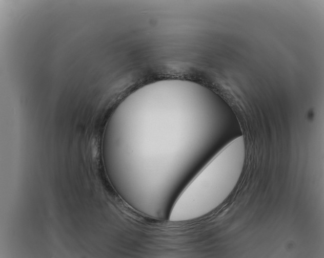 X0000091470131200708161136