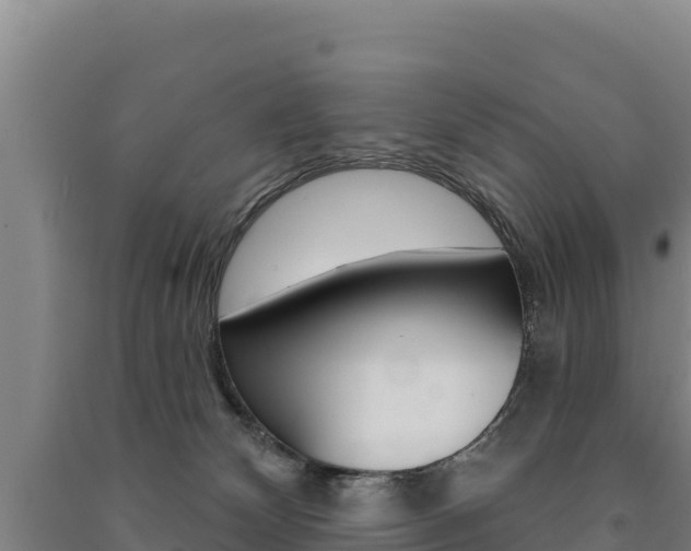 X0000091470132200708161136