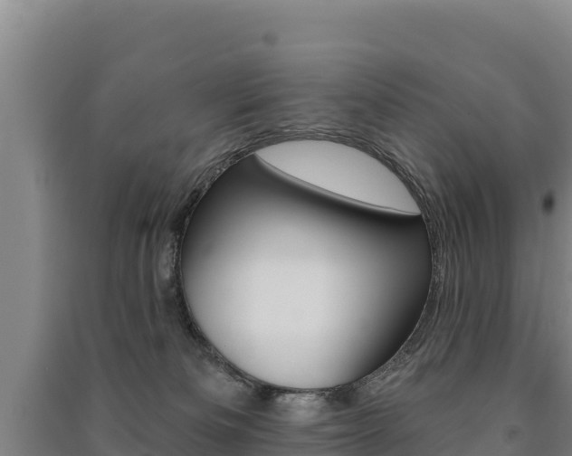 X0000091470133200708161136