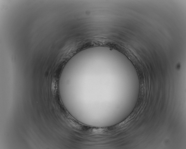 X0000091470134200708161136