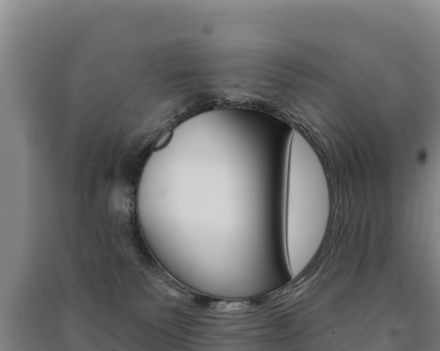 X0000091470135200708161136