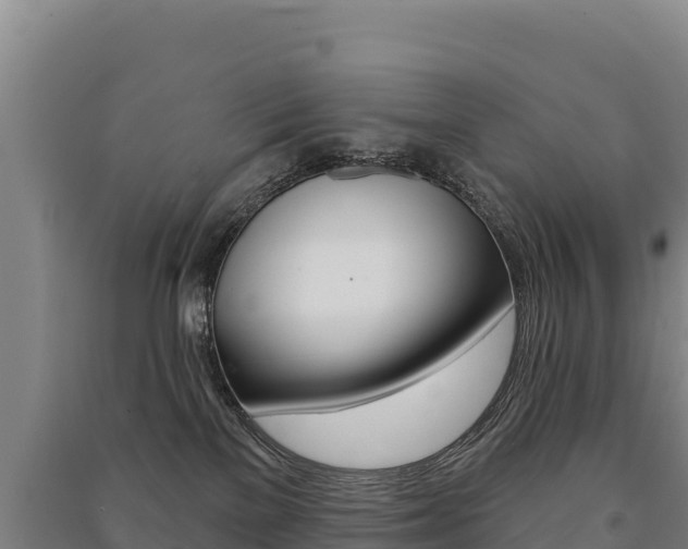 X0000091470137200708161136