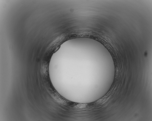 X0000091470138200708161136
