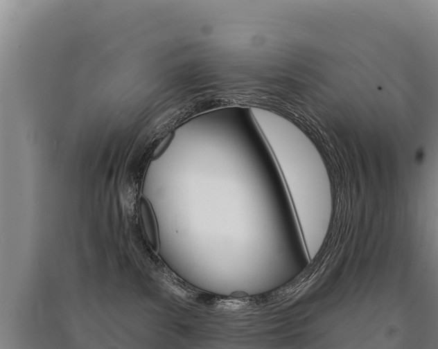X0000091470139200708161136