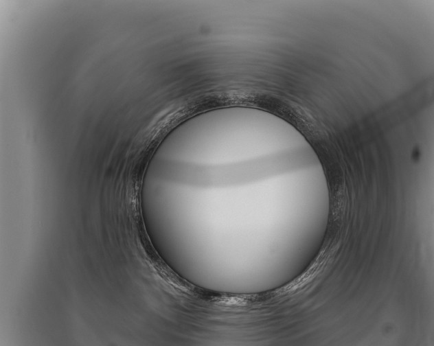 X0000091470140200708161135