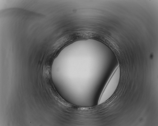 X0000091470141200708161135