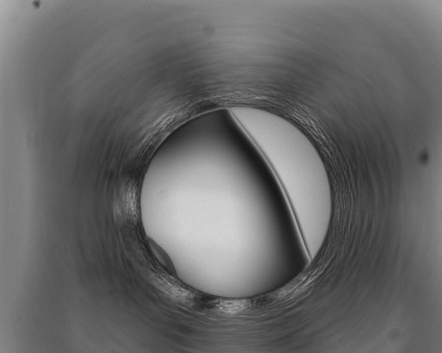 X0000091470143200708161135