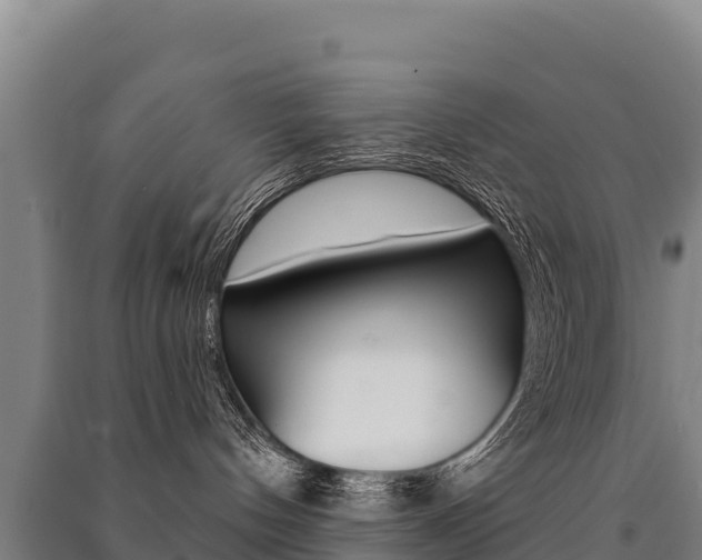 X0000091470144200708161135