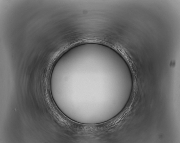 X0000091470145200708161135