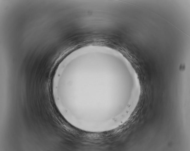 X0000091470146200708161135