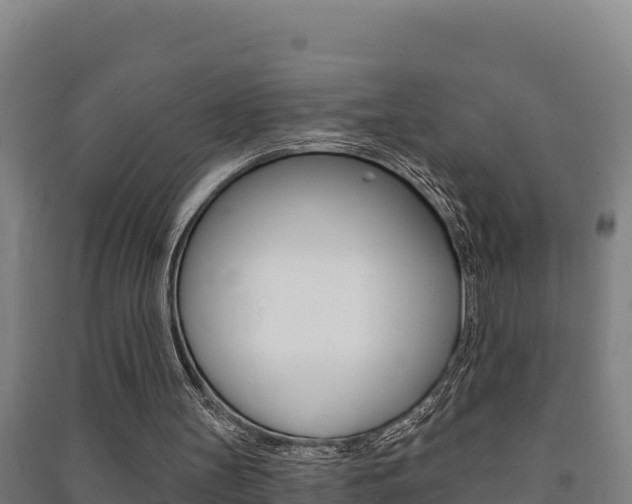 X0000091470147200708161135