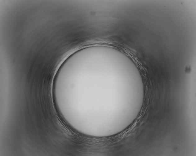 X0000091470148200708161135
