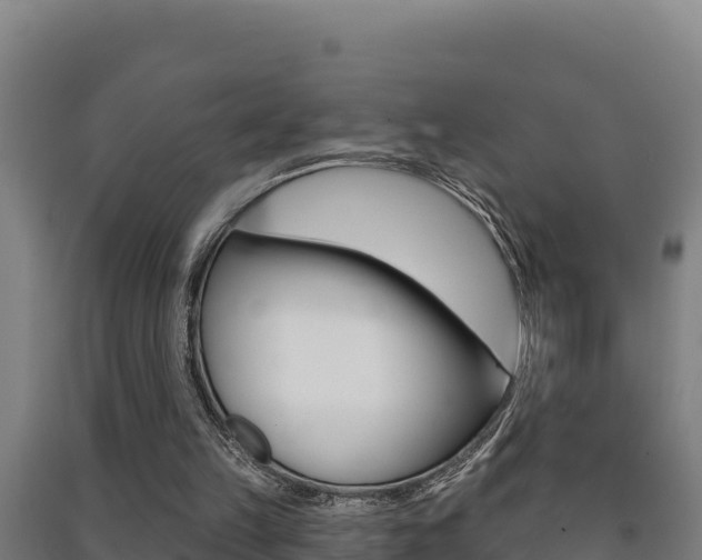 X0000091470149200708161135