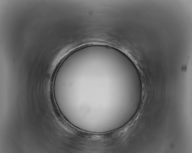 X0000091470151200708161135