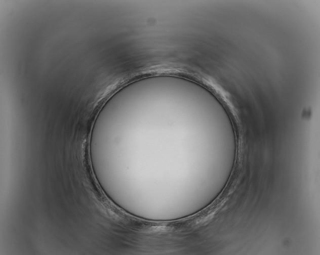 X0000091470153200708161135
