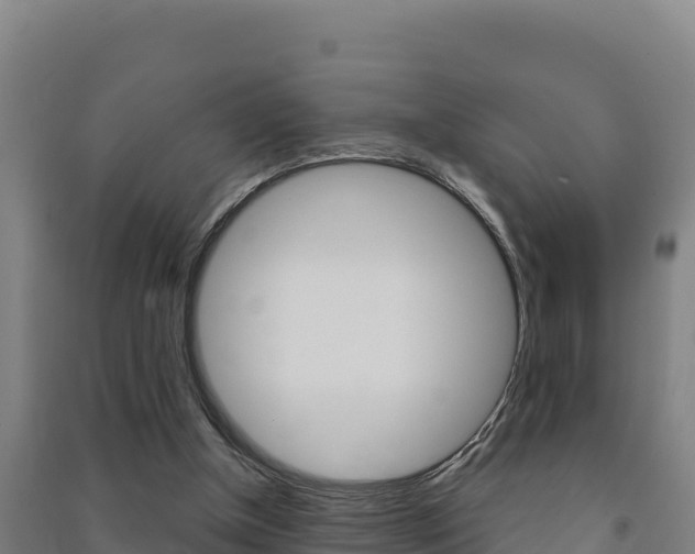 X0000091470154200708161135