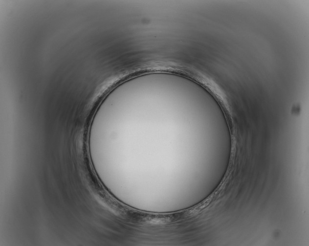 X0000091470155200708161135