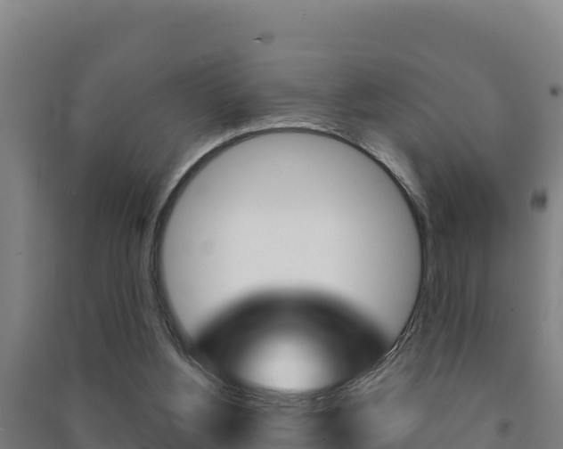X0000091470156200708161135
