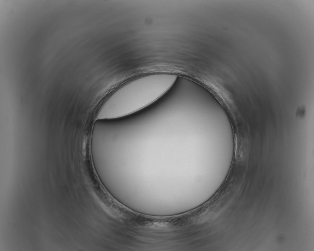X0000091470157200708161135