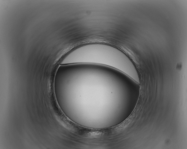 X0000091470158200708161135