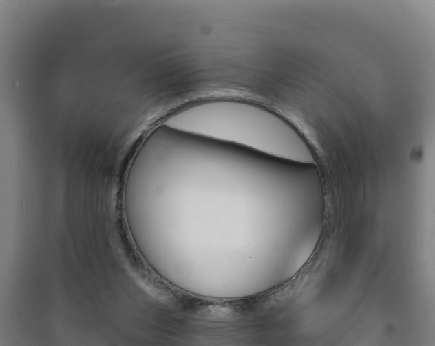 X0000091470159200708161135