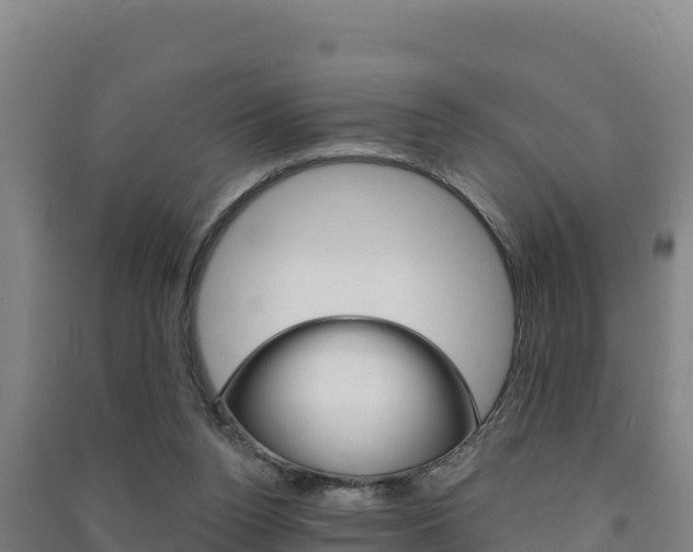 X0000091470160200708161135