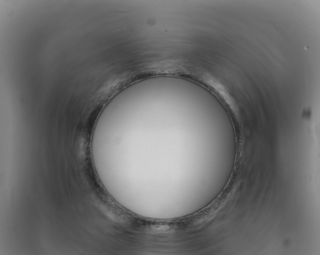 X0000091470161200708161135