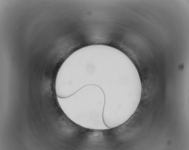X0000091470162200708161135