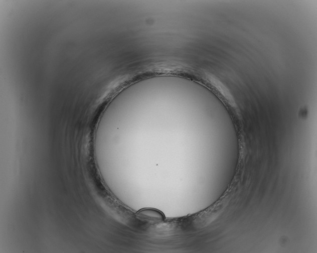 X0000091470163200708161135