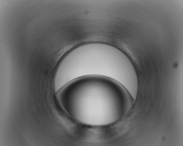 X0000091470164200708161135