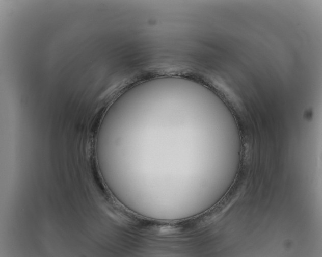 X0000091470165200708161135