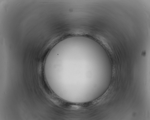 X0000091470167200708161135