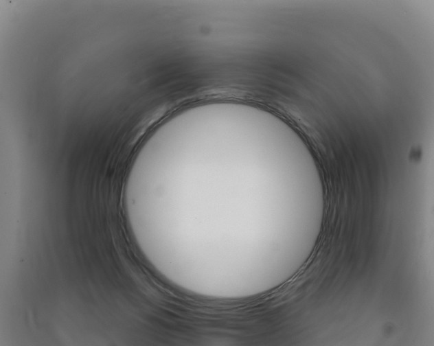 X0000091470168200708161135