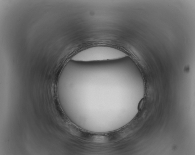 X0000091470169200708161135