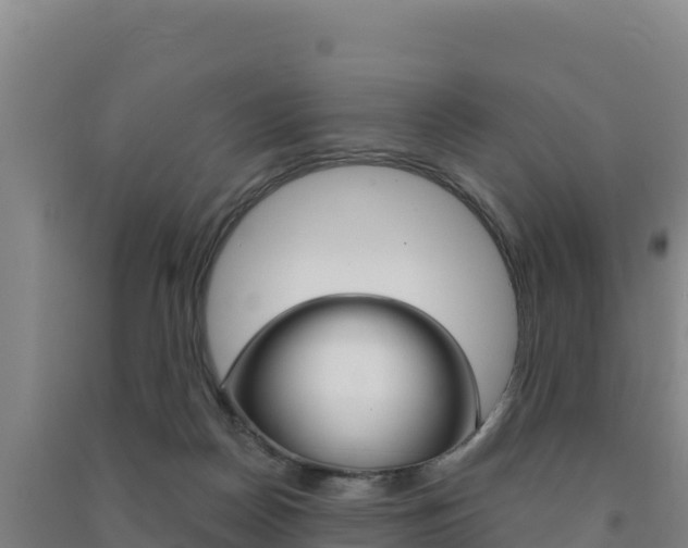 X0000091470170200708161135